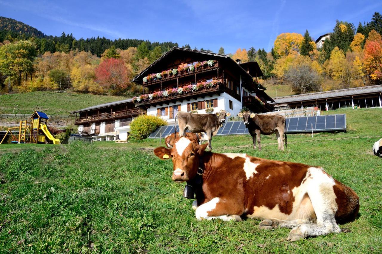 Wegscheiderhof Bed & Breakfast Bressanone Bagian luar foto