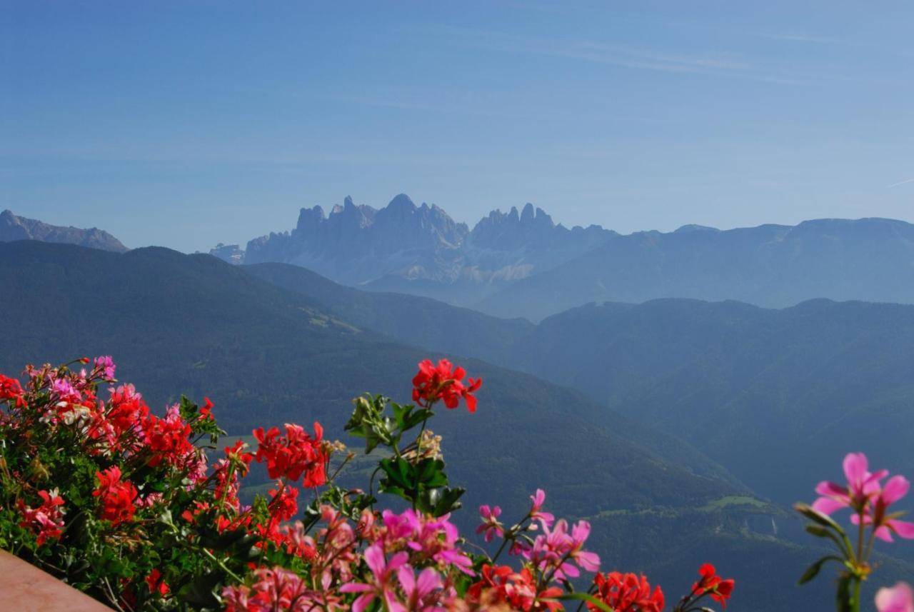 Wegscheiderhof Bed & Breakfast Bressanone Bagian luar foto